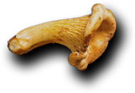 Cabe Rempah - Indonesian Foods