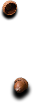 Cabe Rempah - Indonesian Foods